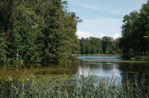 curer un étang sans le vider