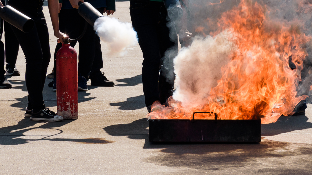 bac a feu cordia