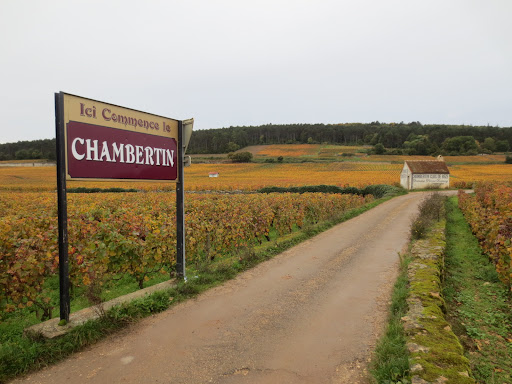 vin Gevrey-Chambertin