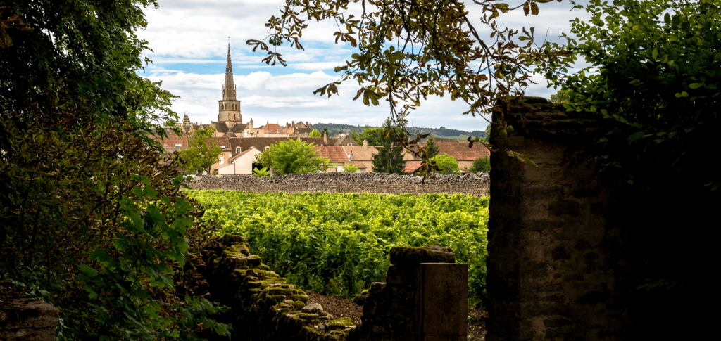 village du vin meursault